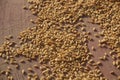 Ariel view of wheat grains on floor Royalty Free Stock Photo