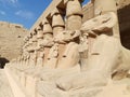 Aries Amon - Karnak temple - Egypt Royalty Free Stock Photo