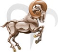 Aries the ram star sign Royalty Free Stock Photo