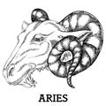 Aries zodiac sign Royalty Free Stock Photo