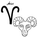 Aries zodiac sign, vector hand-drawn illustration