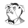 Aristocratic Pig Monocle Black and White Drawing