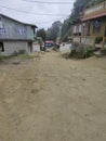 This ariya is Nepal ILAM district this road is going to gorkhe