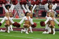 Arizona Cardinals Cheerleaders Royalty Free Stock Photo