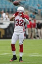 Tyrann Mathieu