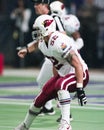 Zack Walz, Arizona Cardinals