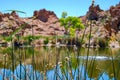 Desert oasis pond landscape Arizona Royalty Free Stock Photo