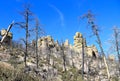 Arizona, Chiricahua National Monument: Burnt Trees and Standing-Up Rocks Royalty Free Stock Photo