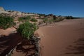 Arizona desert