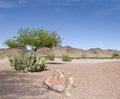 Arizona Desert Royalty Free Stock Photo