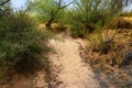 Arizona Desert Arroyo