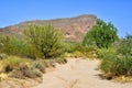 Arizona Desert Arroyo