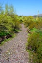 Arizona Desert Arroyo