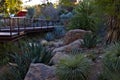 Desert, Botanical, Garden, Phoenix, Arizona, flowers, plants, trees, cacti, wildlife, color,