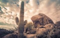 Arizona desert cactus boulder landscape Royalty Free Stock Photo