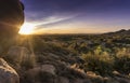 Arizona desert cactus boulder landscape Royalty Free Stock Photo