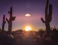 Arizona desert cactus tree landscape Royalty Free Stock Photo