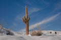 Arizona desert covered in snow, North Phoenix