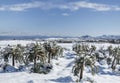 Arizona desert covered in snow, North Phoenix