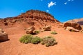 Arizona desert landscape