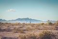 Serene Arizona Desert Landscape