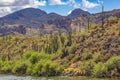 Arizona Desert Landscape: Lakeside Cactus on a Hill and Mountains Royalty Free Stock Photo