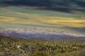 Arizona desert landscape with saguaro cactus at sunset with snow covered mountains Royalty Free Stock Photo