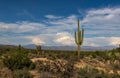 Arizona Desert Landscape Scene With Cactus & Mountains Royalty Free Stock Photo