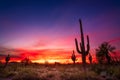 Arizona desert landscape at sunset