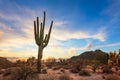 Arizona desert landscape at sunset Royalty Free Stock Photo