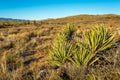 Arizona Desert Landscapes