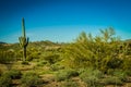 Arizona Desert