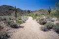 Arizona Desert Scenery Royalty Free Stock Photo
