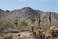 Arizona Desert Scenery Royalty Free Stock Photo