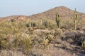 Arizona Desert Scenery Royalty Free Stock Photo