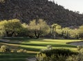 Arizona desert style golf course community setting Royalty Free Stock Photo