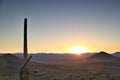 Arizona Desert Sunrise with a Clear Blue Sky Royalty Free Stock Photo