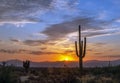 Arizona Desert Sunrise Rays & Cactus