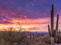 Epic Arizona Desert Sunset with Cactus In North Scottsdale