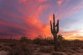 Arizona desert sunset with Saguaro Cactus Royalty Free Stock Photo