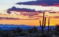 Arizona desert sunset near North Scottsdale Arizona