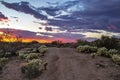 Vibrant Arizona Desert sunset trail to the horizon in Scottsdale