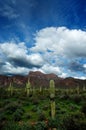 Arizona Desert Superstition Mountains with Cacti and Clouds Royalty Free Stock Photo