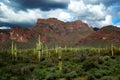 Arizona Desert Superstition Mountains with Cacti and Clouds Royalty Free Stock Photo