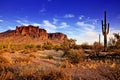 Arizona desert view at sunset, Phoenix, USA Royalty Free Stock Photo