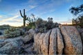 Arizona Desertscape Royalty Free Stock Photo