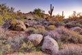 Arizona Desertscape Royalty Free Stock Photo