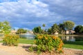 Blooming Sparky Tecoma Shrubs in Dos Lagos, Glendale, AZ Royalty Free Stock Photo