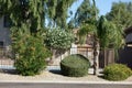 Arizona Front Yard Royalty Free Stock Photo