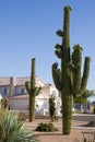 Arizona Home and Saguaro Royalty Free Stock Photo